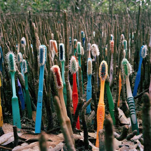 Found Toothbrushes - Site-specific art installation