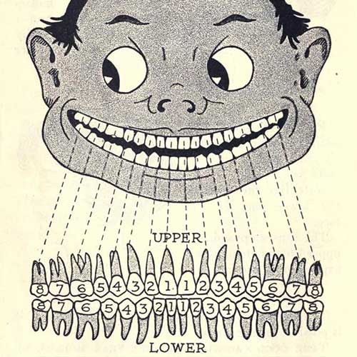 Vintage Book - A Child's Book of the Teeth